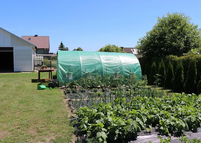 Dom wakacyjny Bukowy *